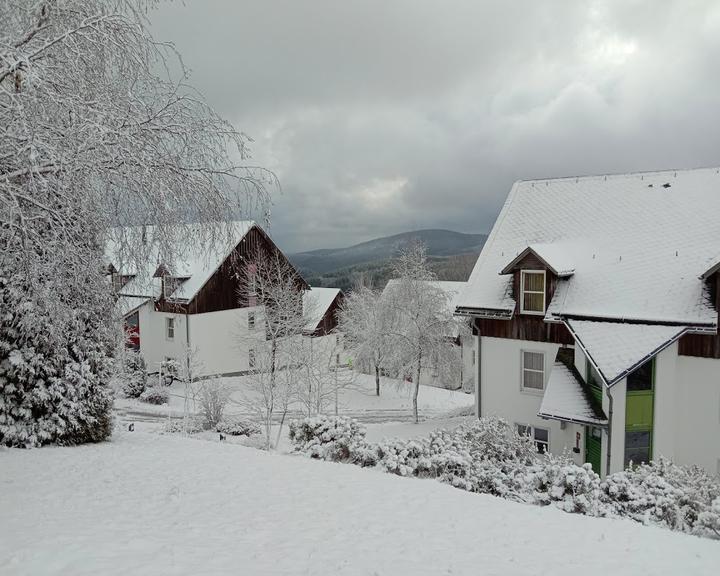 Waldstube Hapimag Winterberg